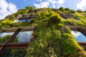 Green Facades: Transforming Buildings with Nature’s Finest Touch